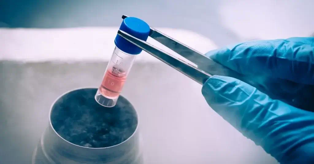 invitrogen corporation